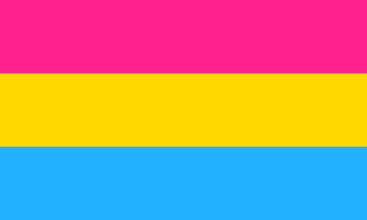 bandera, Estas son algunas de las banderas que verás dentro del Pride, egoCity LGBTIQ Diversity Network