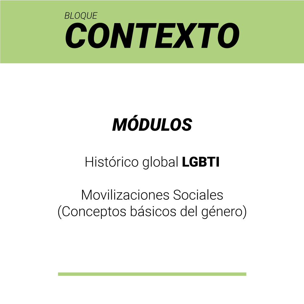 PERIODISMO PARA LA DIVERSIDAD, Diplomado &#8211; Periodismo para la diversidad, egoCity LGBTIQ Diversity Network